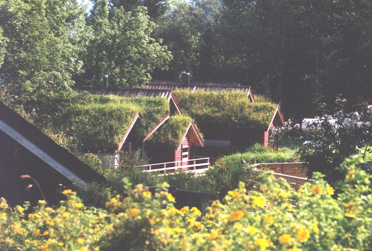 Hardanger Feriesenter Nesvika Villa Norheimsund Dış mekan fotoğraf