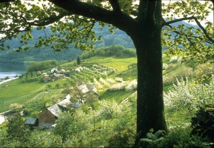 Hardanger Feriesenter Nesvika Villa Norheimsund Dış mekan fotoğraf