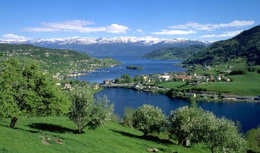 Hardanger Feriesenter Nesvika Villa Norheimsund Dış mekan fotoğraf