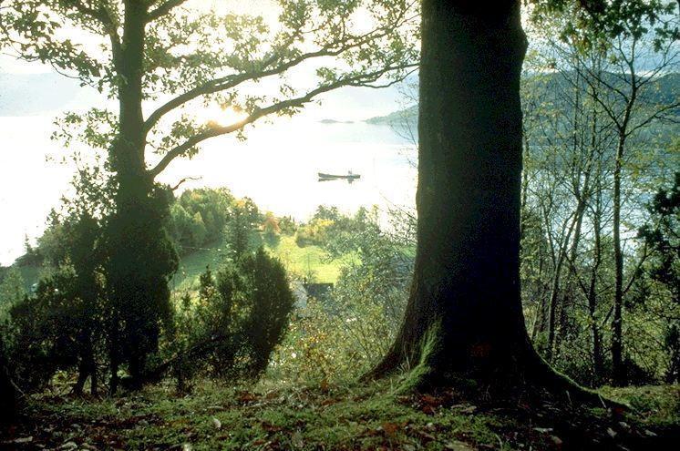 Hardanger Feriesenter Nesvika Villa Norheimsund Dış mekan fotoğraf